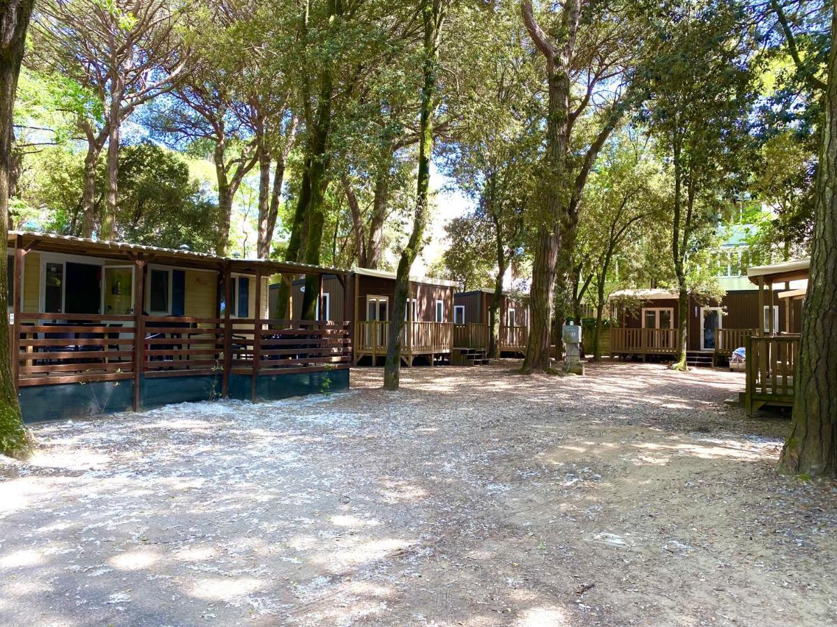 Dena Chalets - Lido Di Spina At The Beach Exterior photo